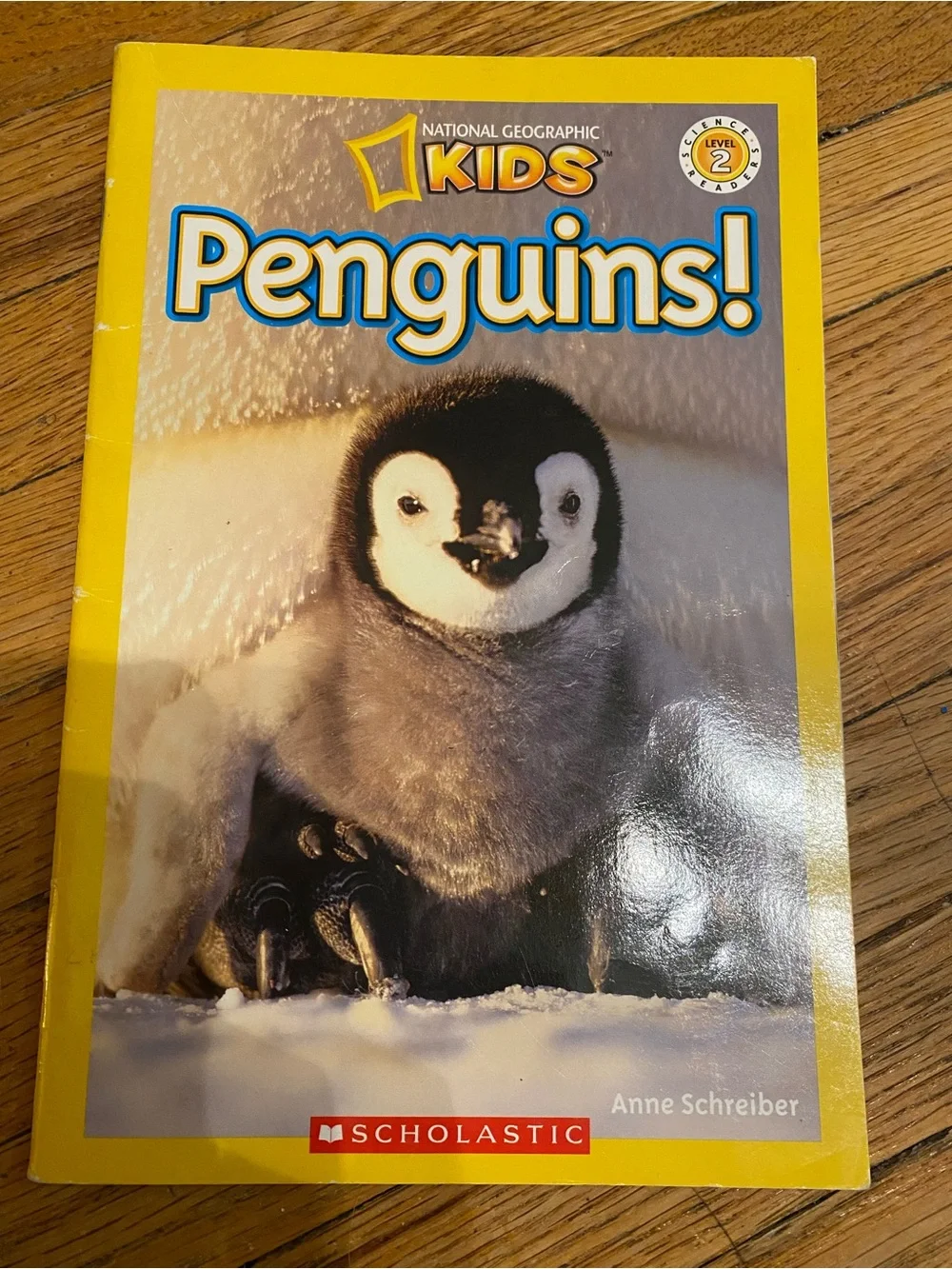 National Geographic Kids & Scholastic Children's Book Lot who would win books